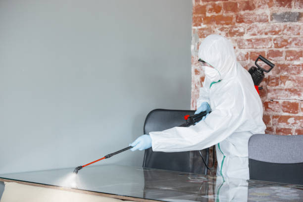 Best Mold Odor Removal Services  in Seth Ward, TX